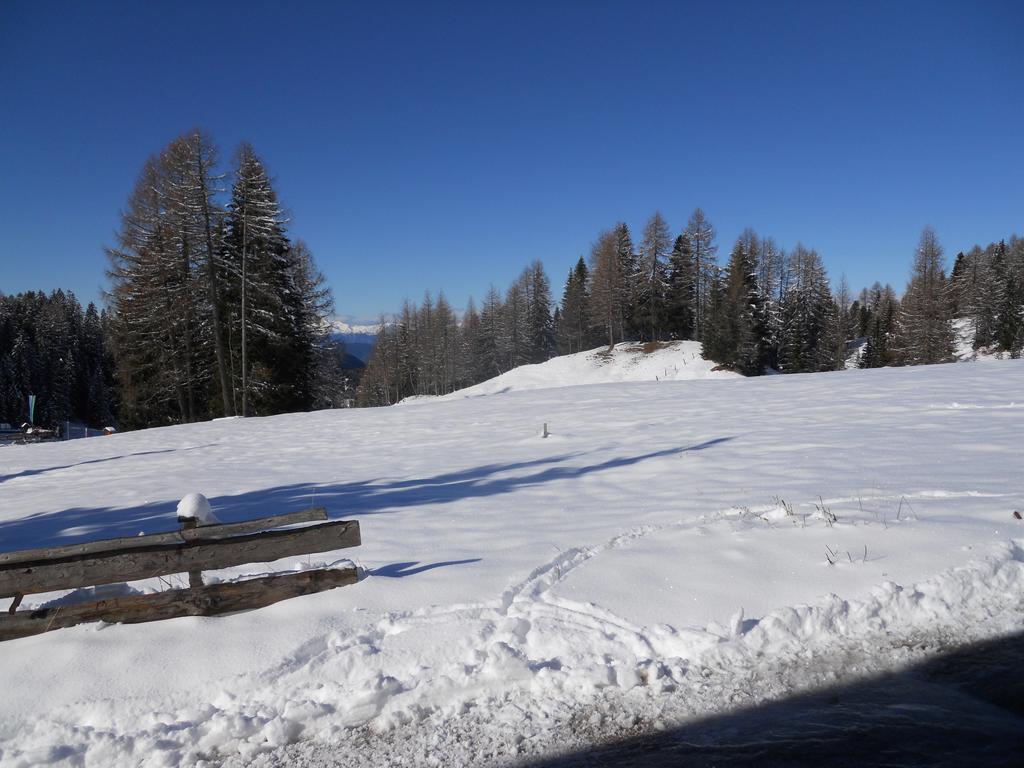 Villa Tamion Vigo di Fassa Zewnętrze zdjęcie